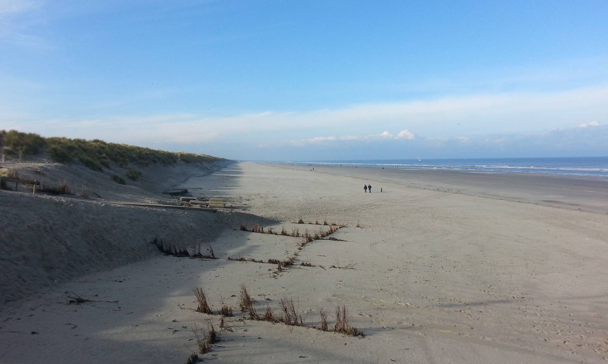 Buren Apartment | Ameland - apartment with balcony to the south side with a view of meadows and the village of Buren