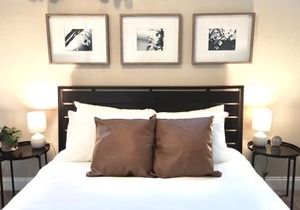 Gorgeous Guest Suite - Walk to Old Town and CSU! in Fort Collins