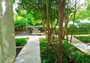 Tao Inspired Living, Beach 50 mts, Beach Club In front,Activities & Restaurants! in Akumal