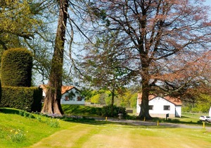 Villa 61, 3 Bedrooms, Sleeps 8, with Leisure Club Access in Kilconquhar