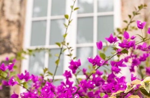 Small Hope Apartment | Codrington College
