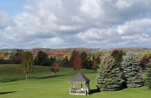 Mulmur Cabin | Hidden Gem! Charming rural getaway close to hiking/skiing/biking. Dog friendly!