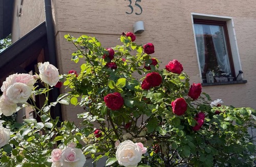 Staffelstein Apartment | Kräuterstube | Helle Wohnung (40qm) mit großem Balkon im 1. OG