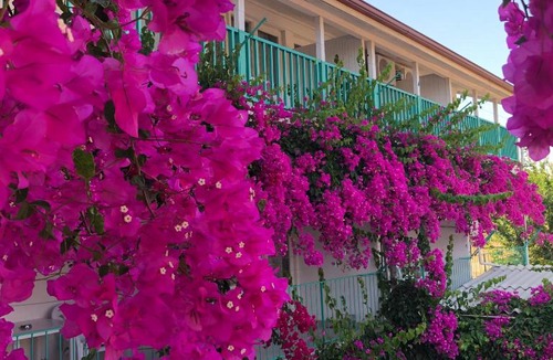 Ancient Side House | Side Evin Hotel