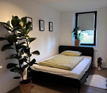 Buttelstedt Apartment | Urban Studio