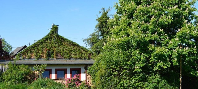 2-Bedroom Vacation Rental at Haus Kaspers - Haus Kaspers in Kelberg