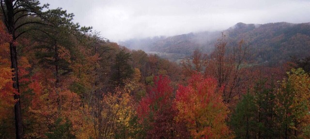 A Beautiful View in Shagbark in Sevierville