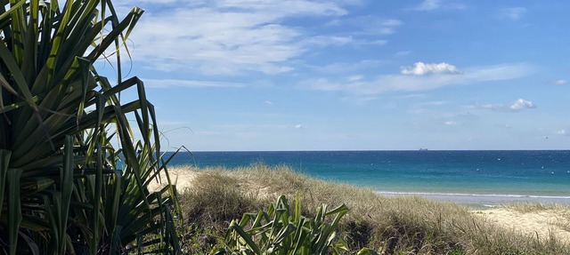 Absolute beachfront- Bush, Beach, Dogs, Relax! in Wurtulla