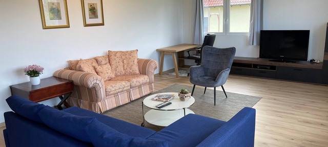 Apartment Promedklinik 1 near the River Main with with offer of wellness massages on site in Volkach