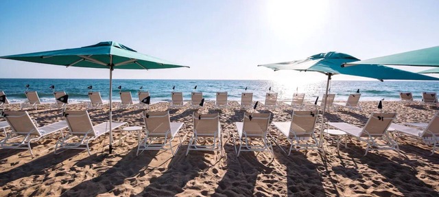 Beachfront Accommodation! 4 Garden View Units | Outdoor Pool w/ Ocean View in Palm Beach