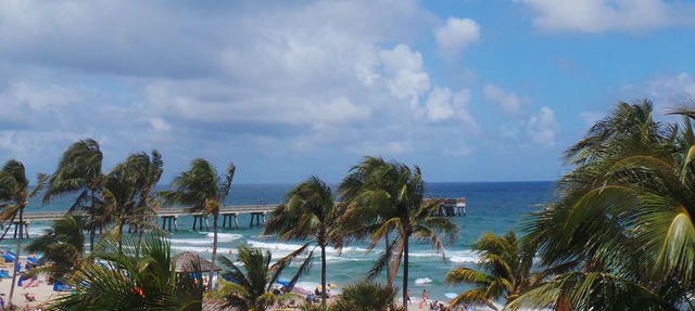 Beachfront! Direct Ocean! as Close as You Can Get to Dfb Pier! in Deerfield Beach