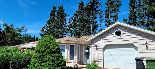 Beautiful and spacious "home away from home" for amazing summer fun & relaxation in Kensington