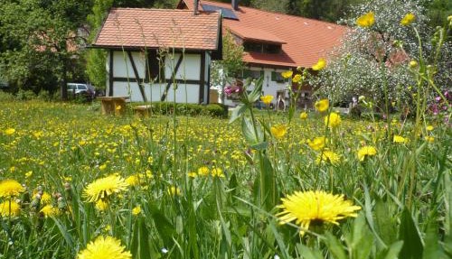 Biohof Schad in Eisenbach