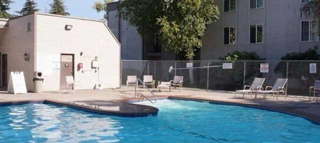 Charming Cozy Microsoft Bellevue Condo - 1 Bedroom in Bellevue
