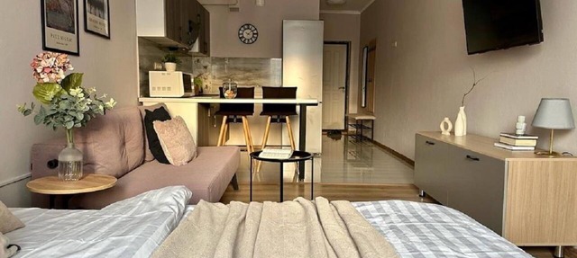 Charming studio Merenga in wonderful Almaty with WiFi, AC in Almaty