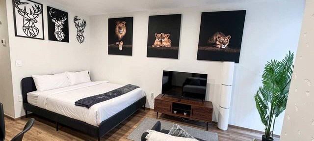 Corporate Studio in Mexico City in Mexico City
