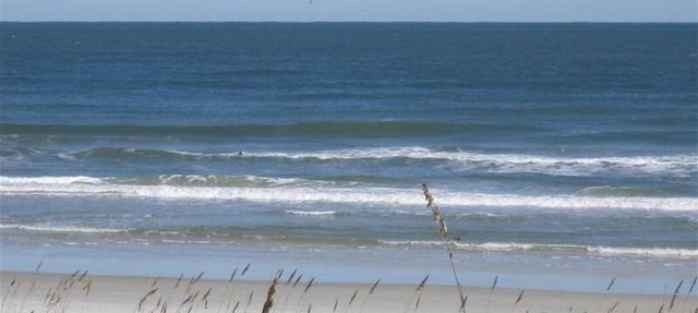Direct Oceanfront & private, dog friendly, 2BR house, Oct/Nov/Dec availability. in St. Augustine