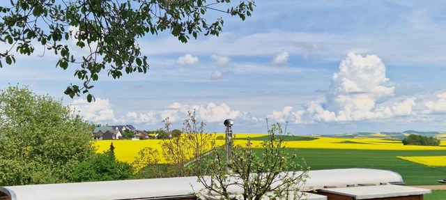Druidenstein in Pillig