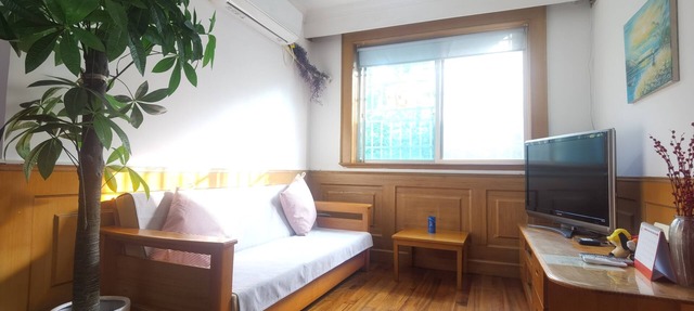 Enjoy going to china & Sunny subway apartment in shanghai downtown in shanghai
