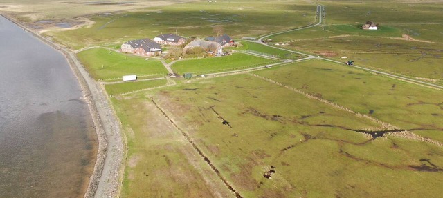 Experience relaxing days in our cozy apartment on Langeneß Hallig in Langeneß