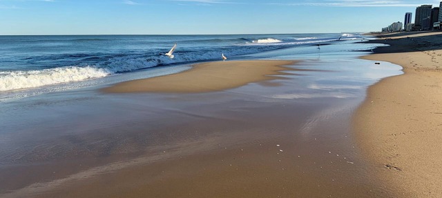 Fantastic Oceanside house -Short walk to the Beach - NEWLY REMODELED in Virginia Beach