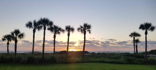 Gorgeous Views From Ground LevelOCEANFRONT condo with POOL! in Fernandina Beach
