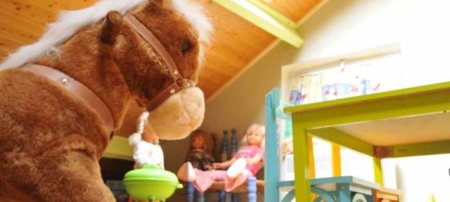 Le Chênelierre - Everything for the Kids - Dogs Welcome (Free) in Manhay