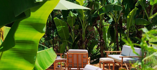 Little Diamond Jungle Home, Panoramic Ocean Views, 2 Verandas &Tropical Garden in Saint Joseph