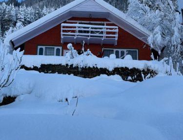 Mistvale Cottage in Manāli