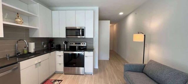 Modern Sunny Micro 1BR Light Rail, Parks, MSP 305 in Minneapolis