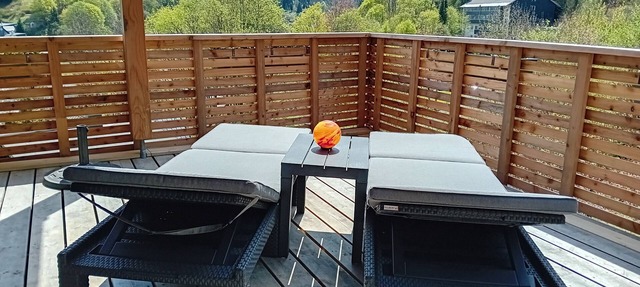 Panorama apartment in the glass town of Lauscha with terrace, beautiful nature & mountain views in Lauscha
