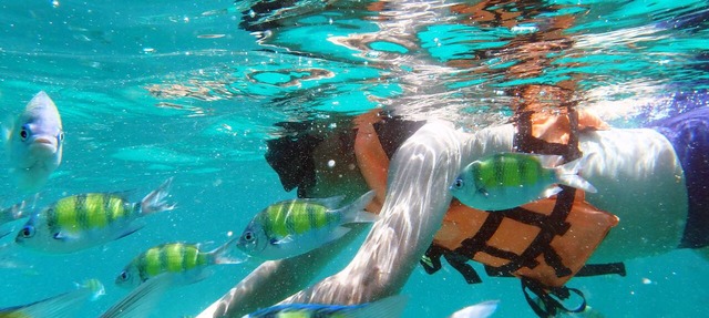 Phi Phi Holiday Resort in Ko Phi Phi