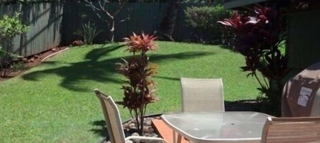 'PONO PLANTATION COTTAGE' WINTER IN PARADISE-3 BEDROOM in Lahaina