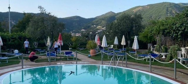 Rabbit in Agerola