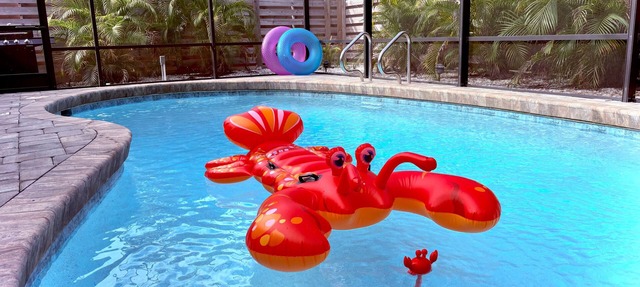Relaxing Poolside- a Private Oasis -heated pool- 7min to beach-2 King beds in Venice