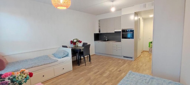 Ruby studio 5min to Vantaa Airport and 20min to Helsinki center in Vantaa