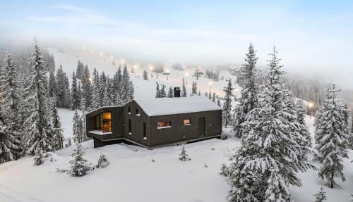 Ski-in-out hytte på Kvitfjell in Strande