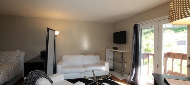 Skyland Lodge, Super cute studio, hot tub in Crested Butte