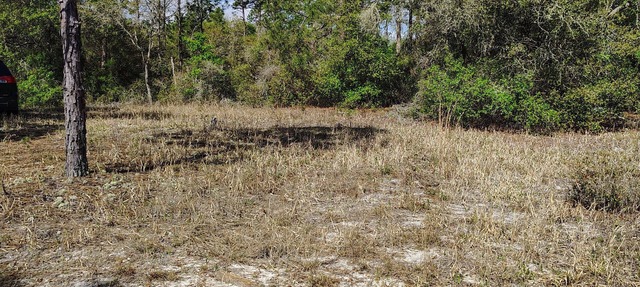 Soothing campground in Interlachen for a peaceful getaway in Interlachen