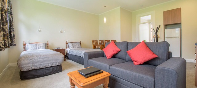 Spacious, Modern Studio Apartment below Coronet Peak in Speargrass Flat