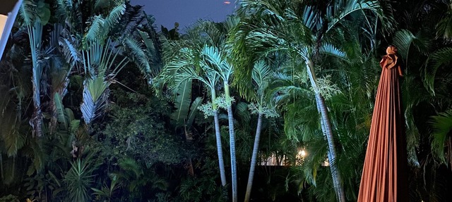 Tropical dream heated pool home in Deerfield Beach