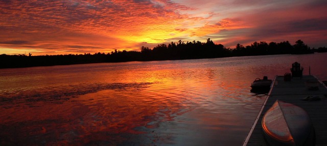 Two Private Islands, Super Quiet Part Of Lake, Yet Close To Action in North Kawartha