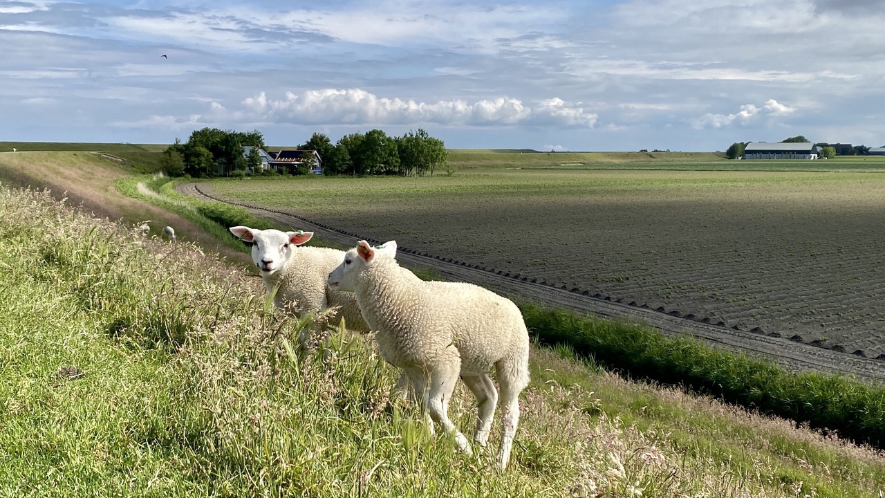 Photo of Others in Slappeterp