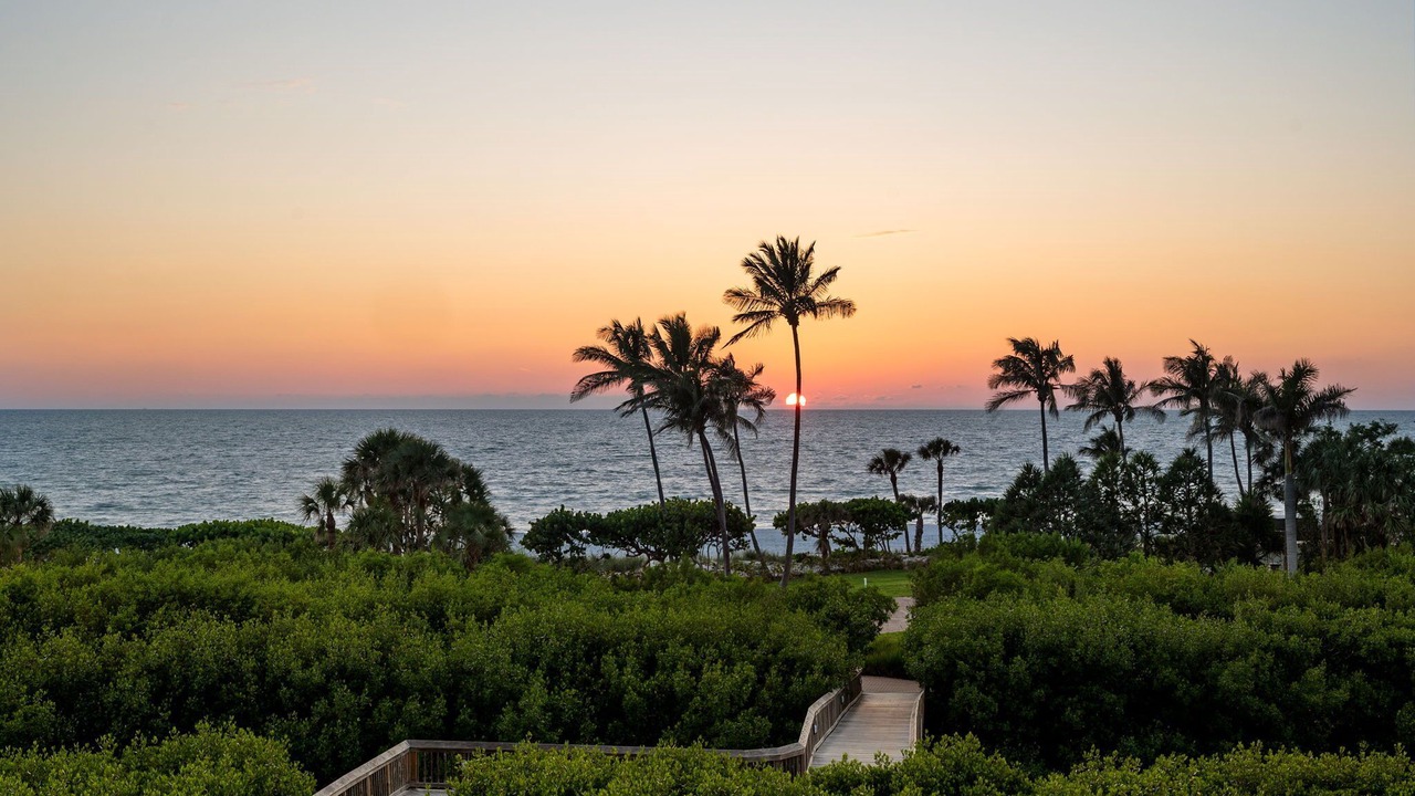 Photo of Outdoor in Park Shore