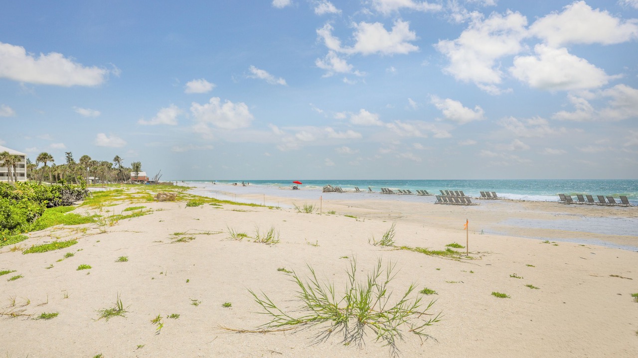Photo of Others in Captiva