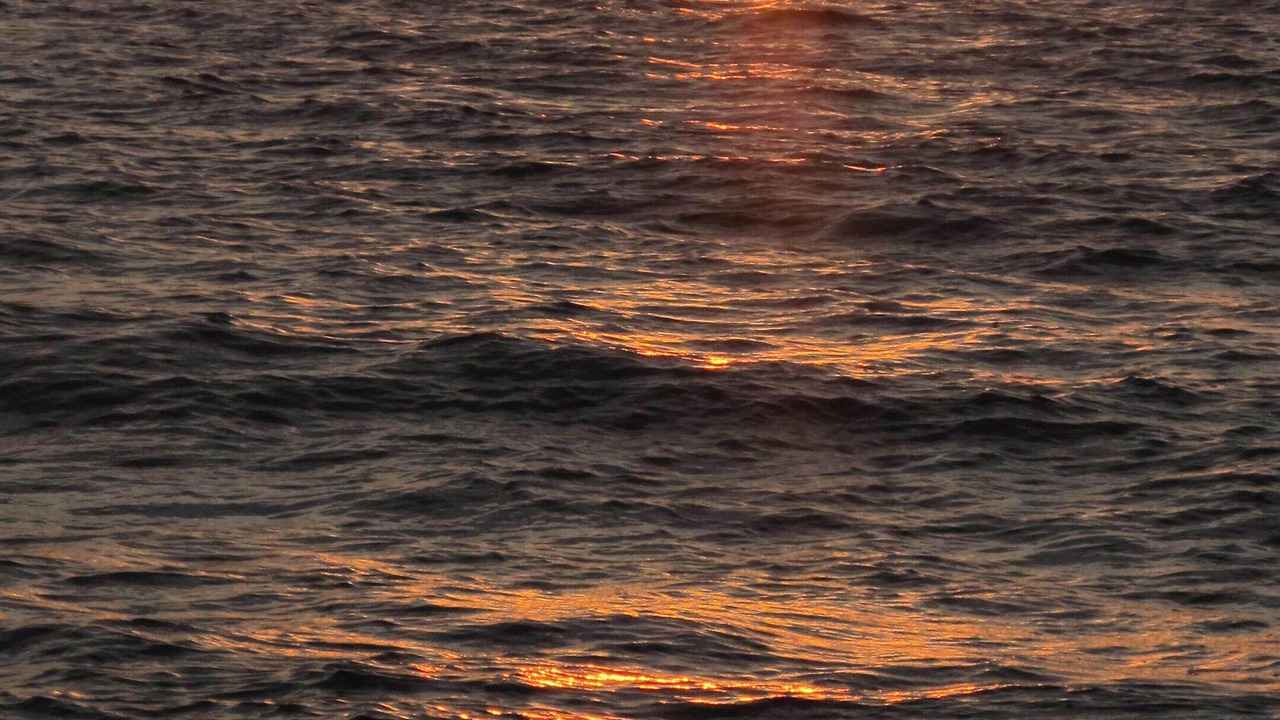 Photo of Others in Sunset Beach