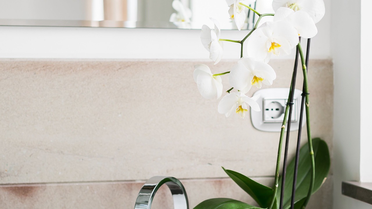 Photo of Bathroom in Porto Ercole
