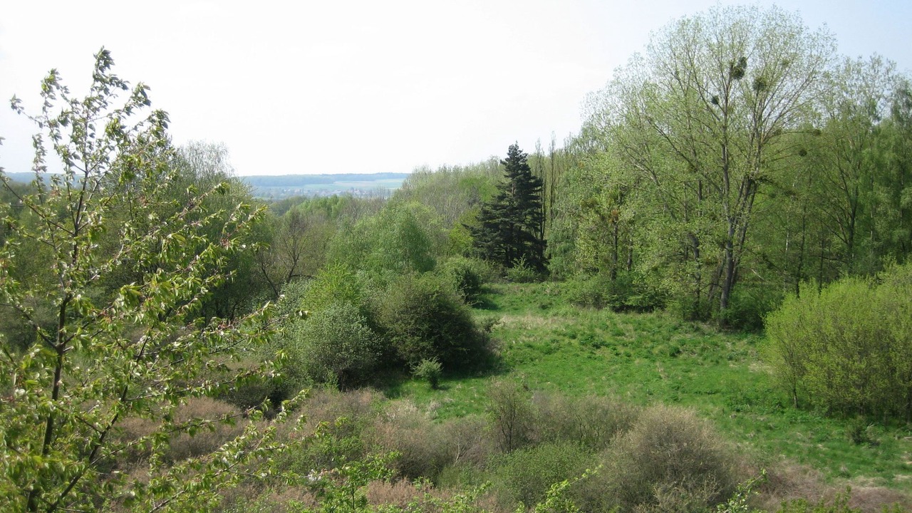 Photo of Others in Feriendorf Silbersee