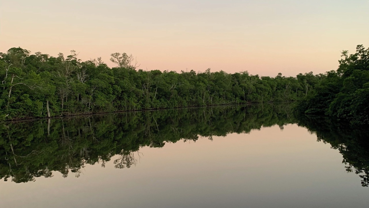 Photo of Others in Everglades City