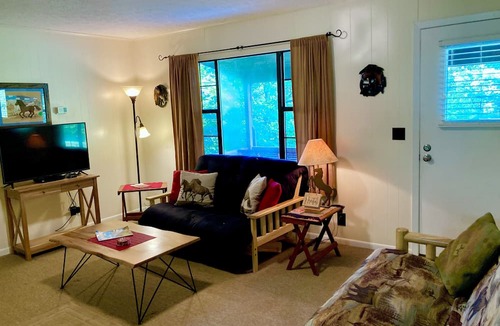 Townsend Cabin | Cozy Cottage near National Park w/Awesome Mountain Views! Extremely clean!